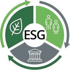 ESG and BRSR disclosures